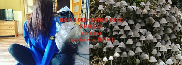 прущая мука Верхний Тагил