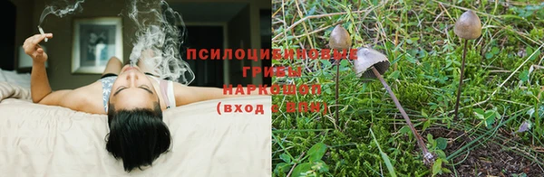 прущая мука Верхний Тагил